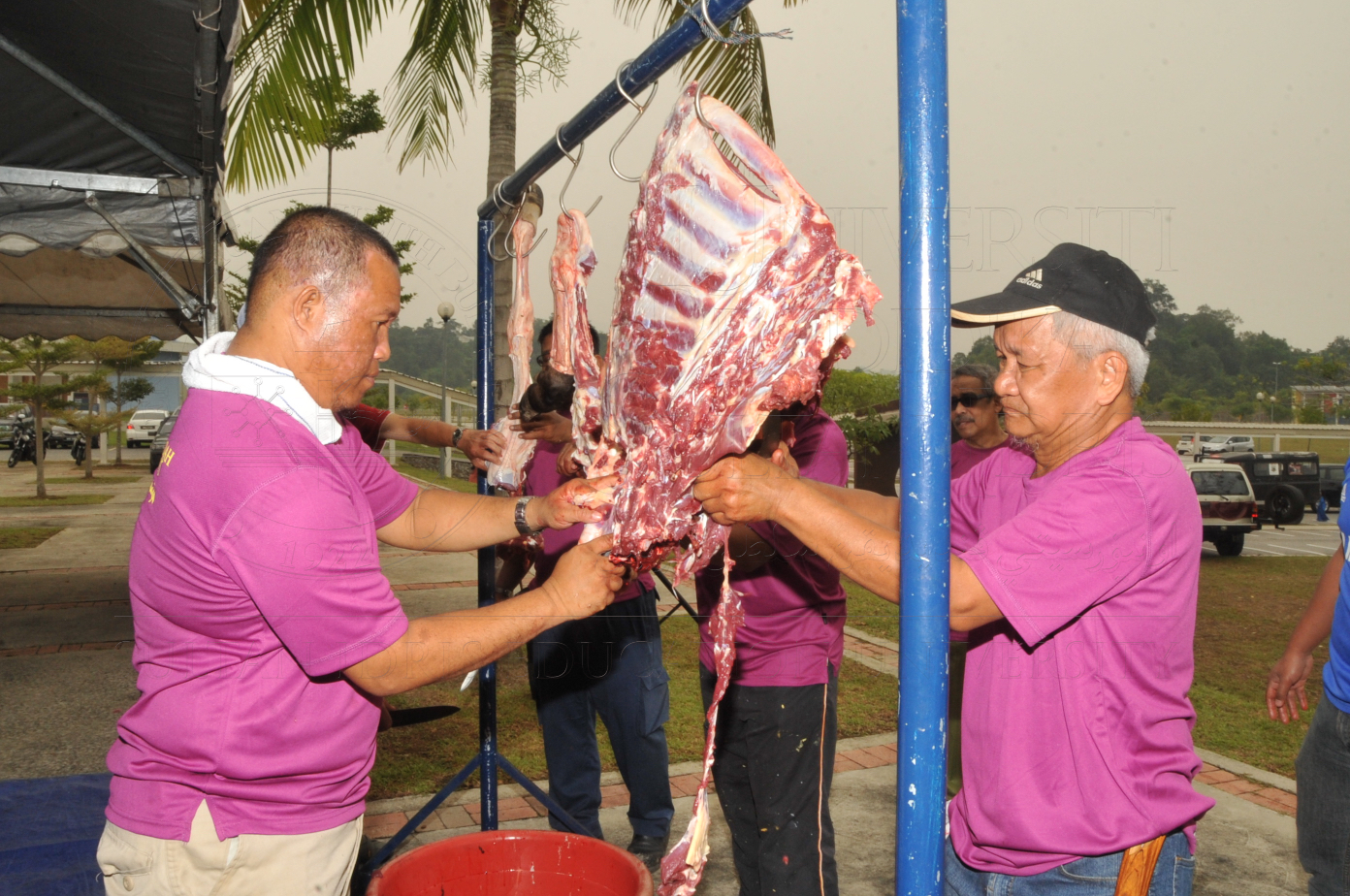 PRO15 150 KORBAN HAS 6912